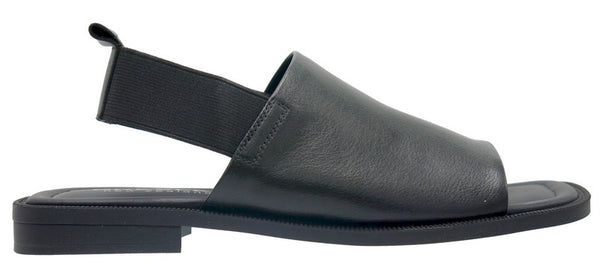 Snob Black