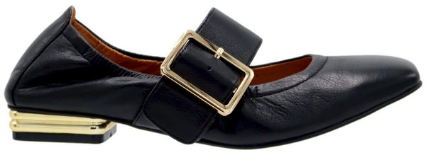 Spruce Black