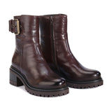 Sunderland Chestnut