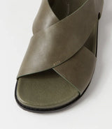 Hanako Olive