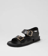 Hastice Black