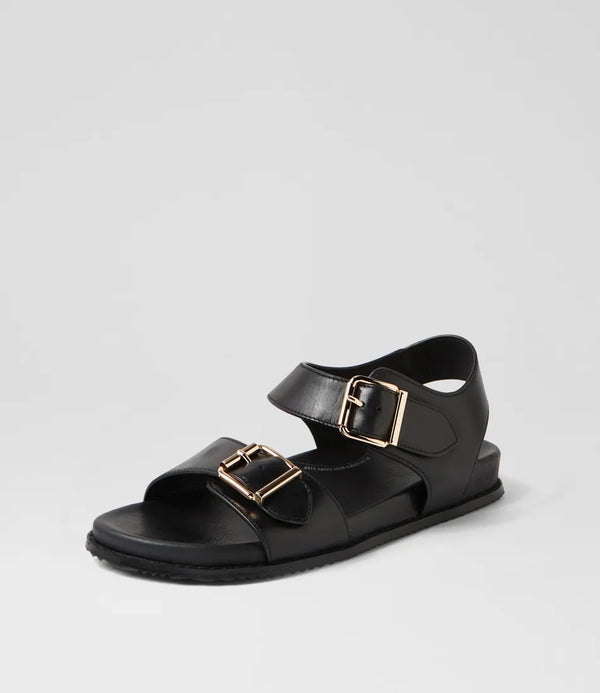 Hastice Black