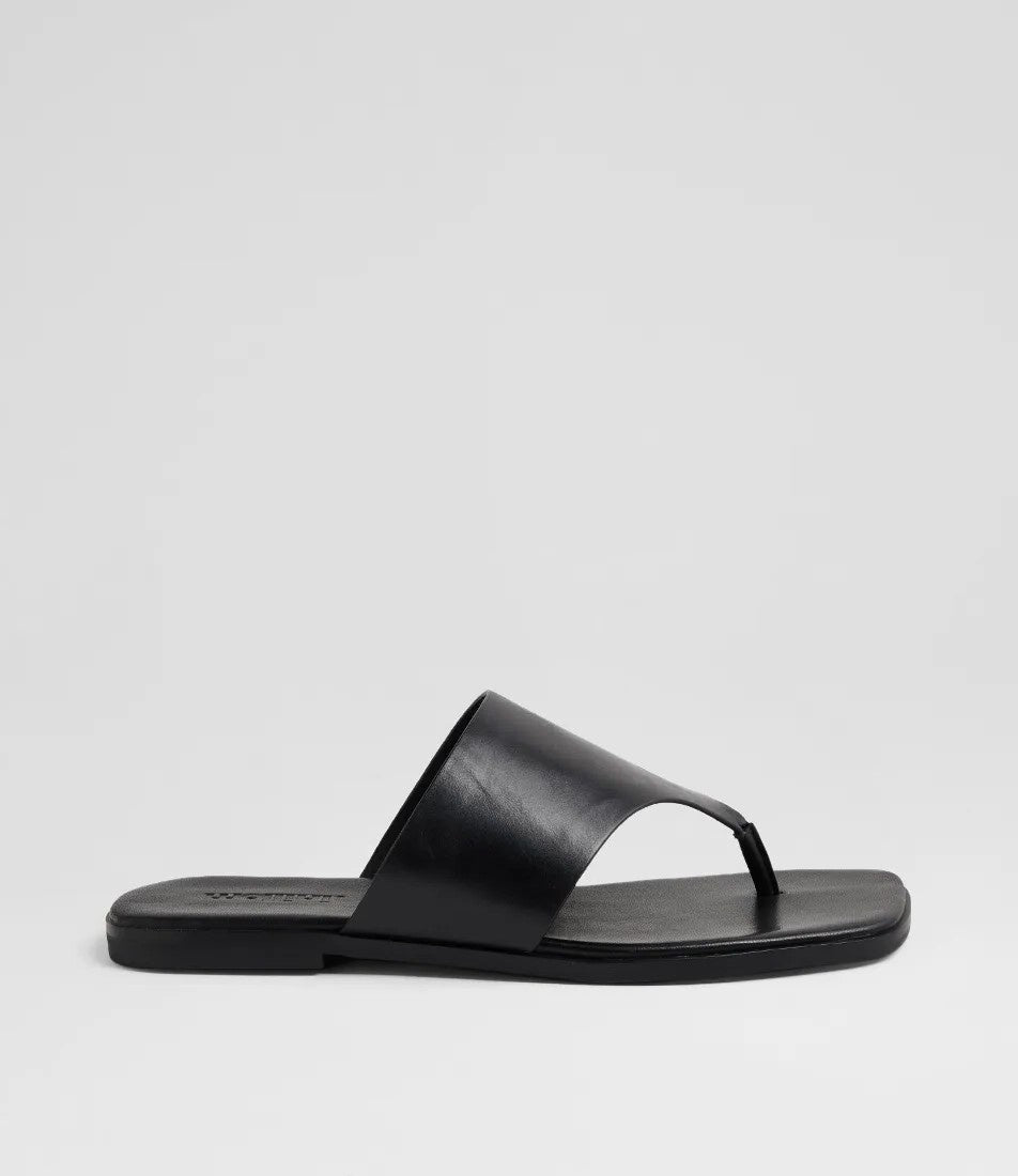Amii Black