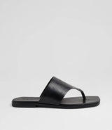Amii Black