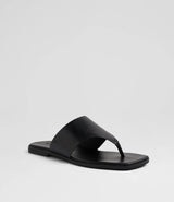 Amii Black