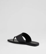 Amii Black