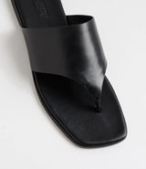 Amii Black