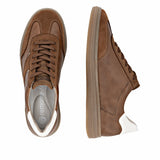D2C05-24 Hazelnut