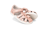 Tropicana II K+ Seashell Shimmer